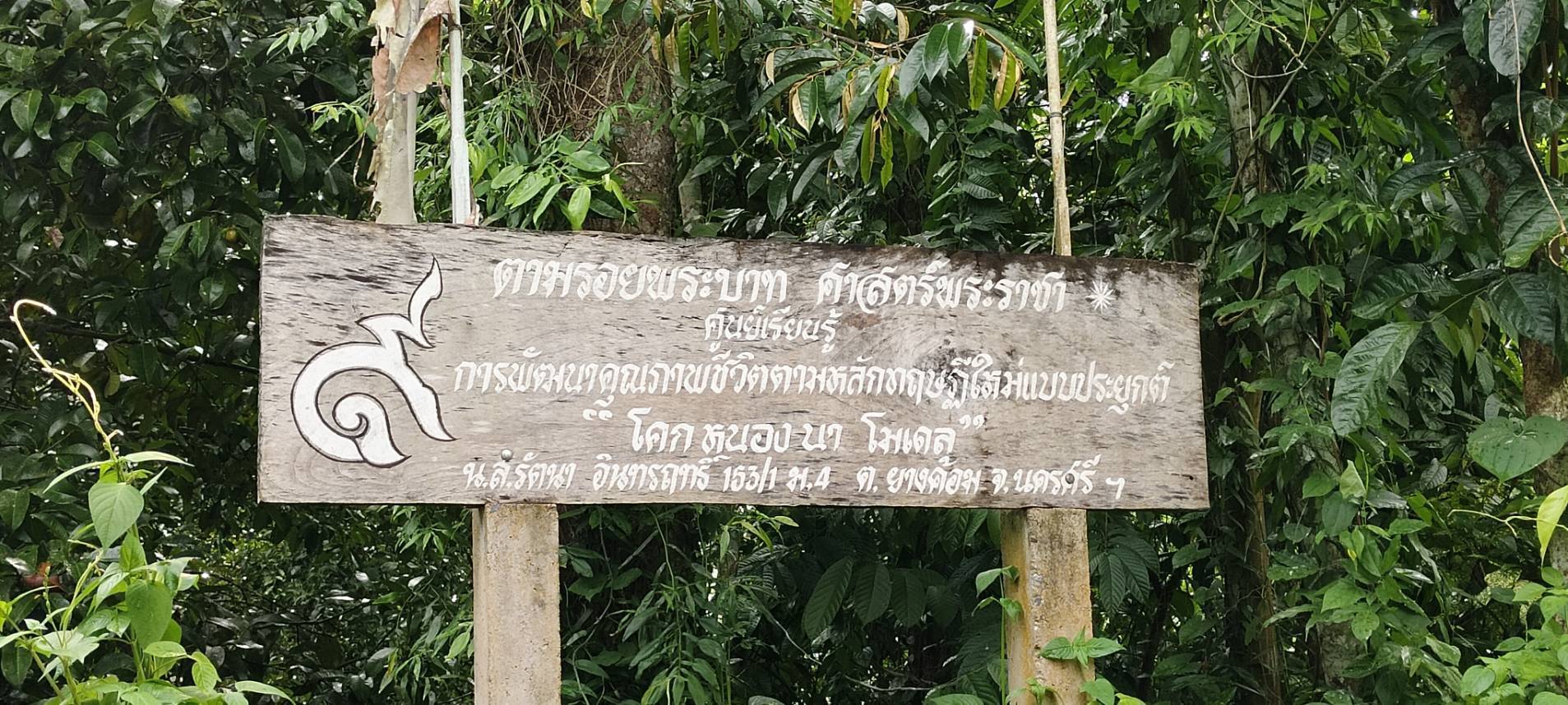 "สพอ.พิปูน เดินหน้าขับเคลื่อน "โคก หนอง นา" ขยายผลสู่ครัวเรือนรอบข้าง ตามหลักปรัชญาของเศรษฐกิจพอเพียง"